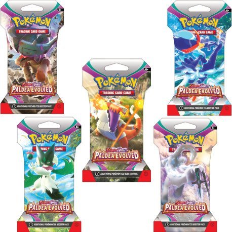 Scarlet & Violet – Pladea Evolved- Sleeved Booster Box (24) w dobrej cenie